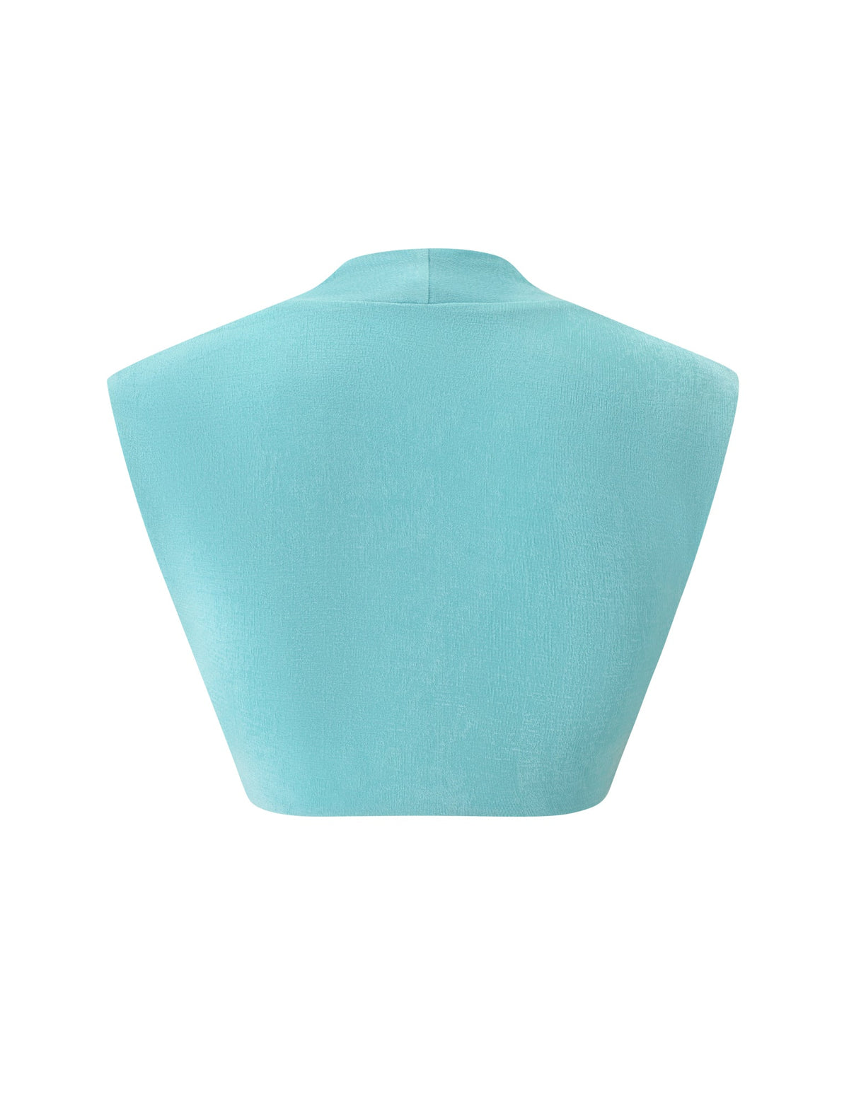 Back view of the RAE TOP - AQUA, a sleeveless, cropped aqua top in sparkle knit fabric with a high collar.