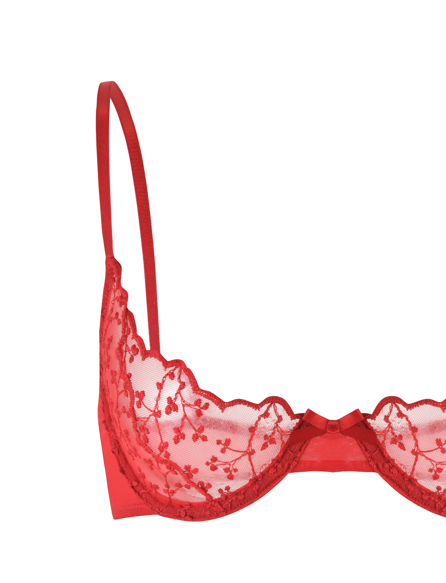 A red lace bra with sheer floral embroidery and thin straps from TIGERMIST’s TALIYAH SET - RED, shown against a plain background.