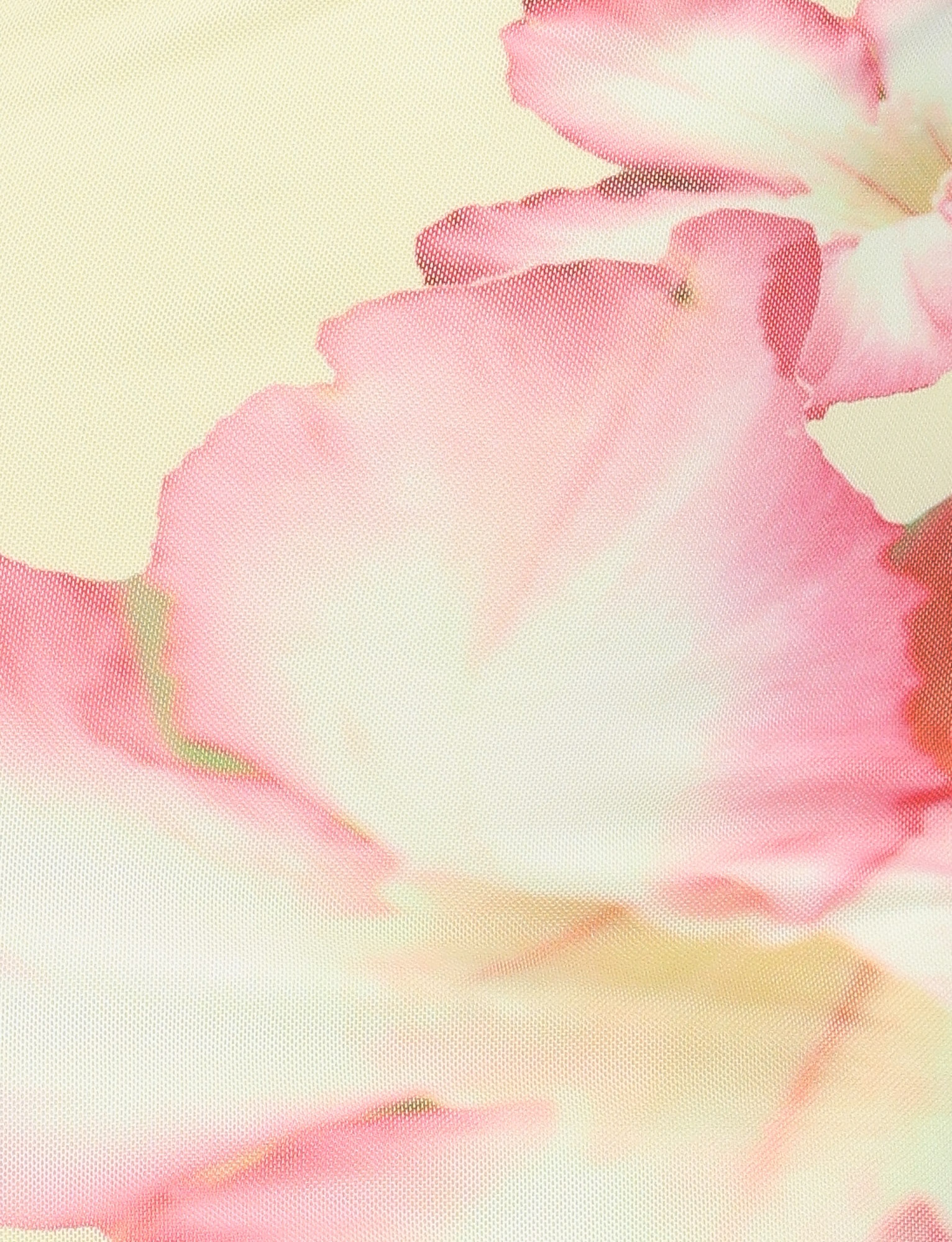 Close-up of delicate pink and white petals, softly blurred against a cream background, reflects the dreamy elegance of the TIGERMIST NYOMI MAXI DRESS in yellow hibiscus macro floral print.