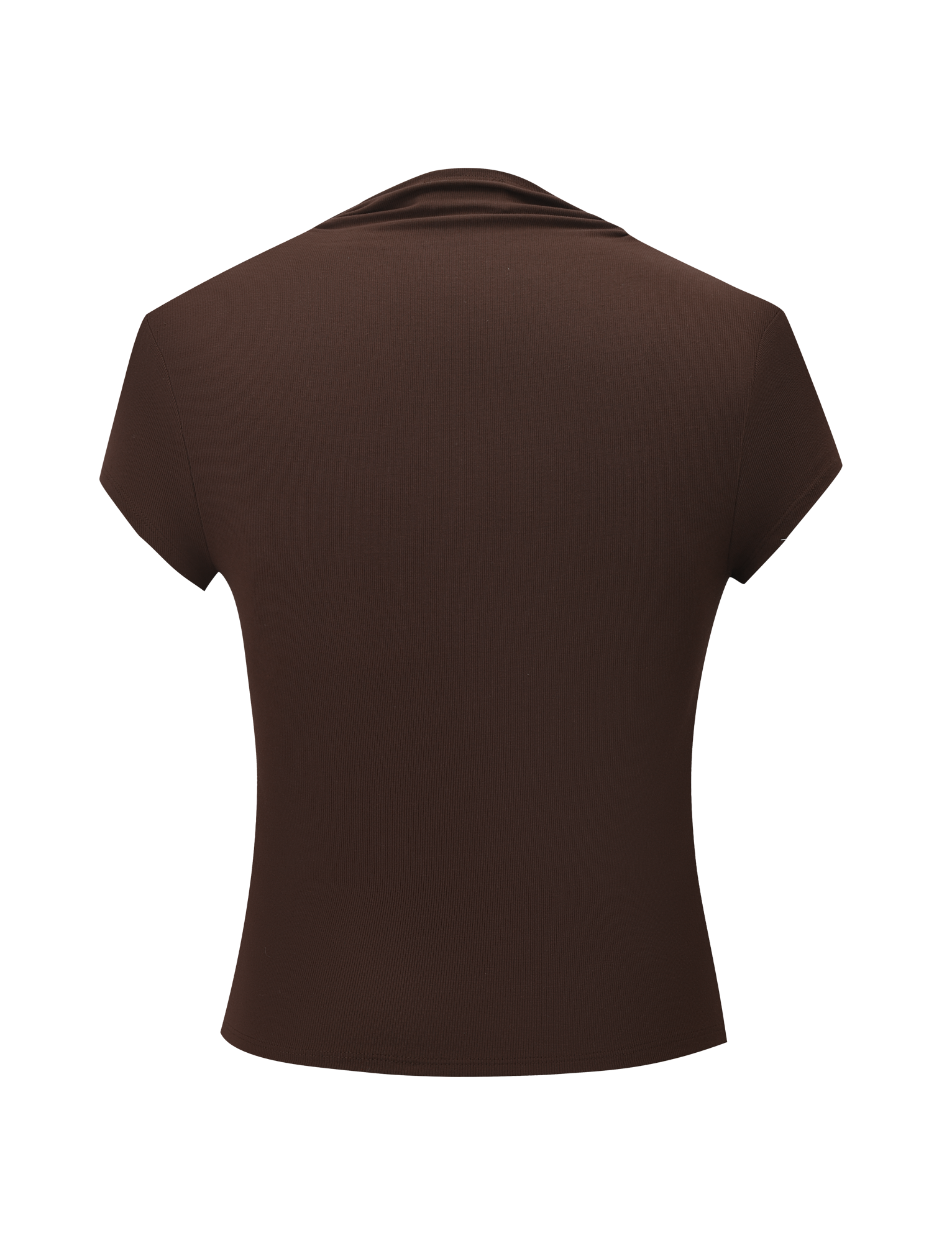 The TIGERMIST LUNARA TOP in chocolate is displayed from the back, featuring a plain design and short sleeves against a white background.