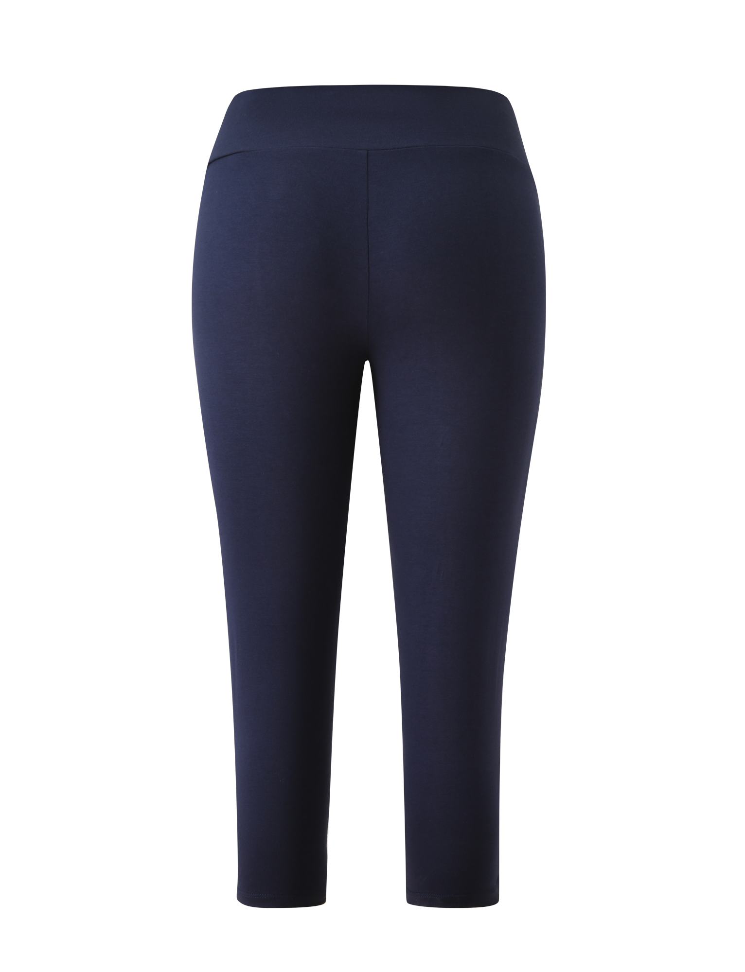 The TIGERMIST TATUM CAPRI - NAVY STRIPE leggings are high-waisted, ankle-length with a V-front waistband, showcased from the back on a plain white background.